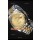 Rolex Datejust Montre Réplique avec Cadran en Or romain 36MM avec Mouvement Suisse 3135